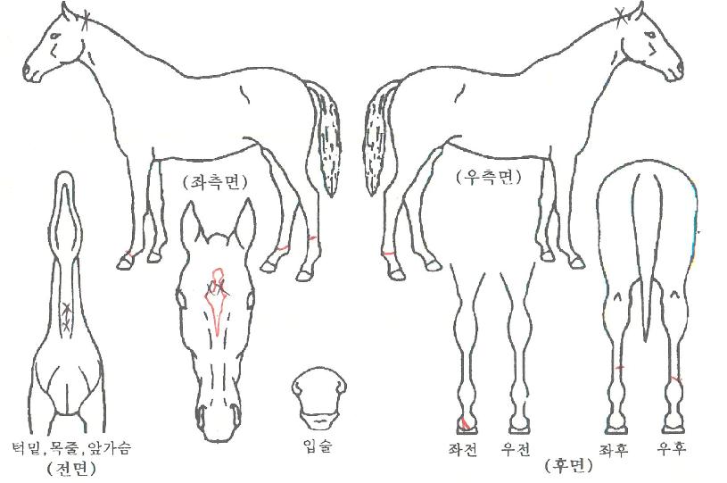 ���±���� ����,���,�޸�,�λ�,�ٸ��� Ư¡����