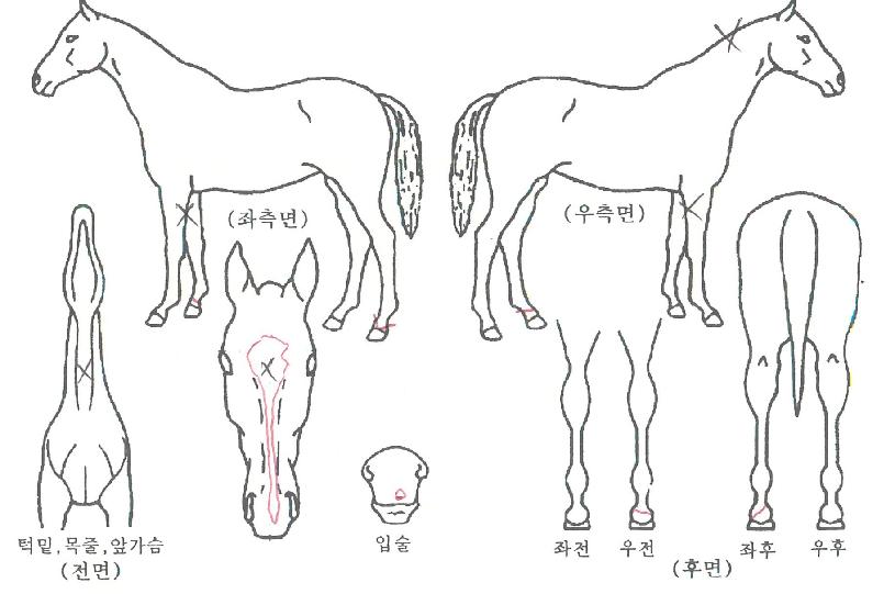 �¸����丮�� ����,���,�޸�,�λ�,�ٸ��� Ư¡����