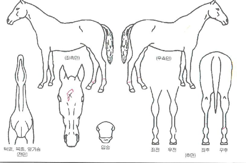 �ʿ��������� ����,���,�޸�,�λ�,�ٸ��� Ư¡����