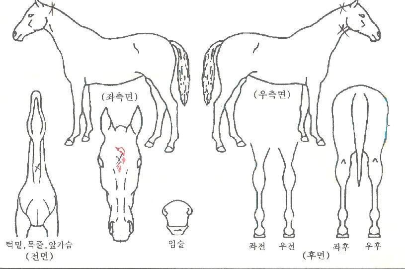 ���̴��������� ����,���,�޸�,�λ�,�ٸ��� Ư¡����