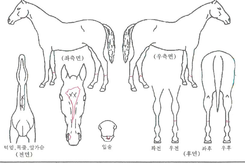 �̱׷������ ����,���,�޸�,�λ�,�ٸ��� Ư¡����