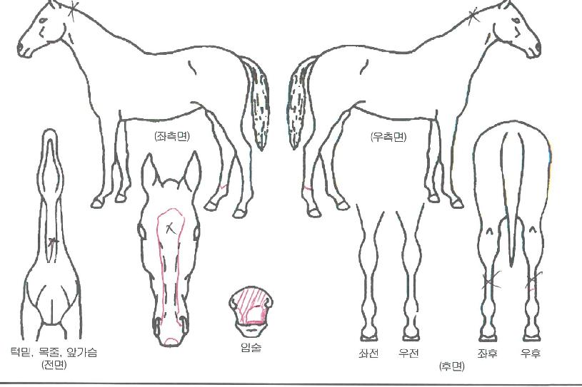 ����Ʈ������ ����,���,�޸�,�λ�,�ٸ��� Ư¡����