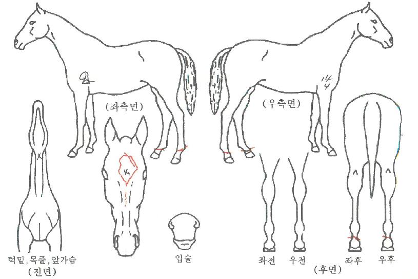 ������Ÿ�� ����,���,�޸�,�λ�,�ٸ��� Ư¡����