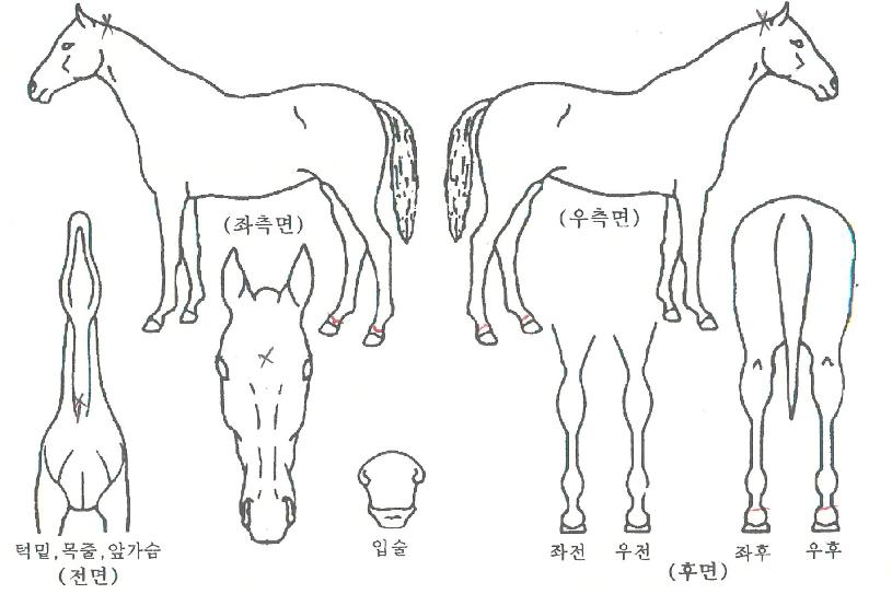 ����Ű������ ����,���,�޸�,�λ�,�ٸ��� Ư¡����