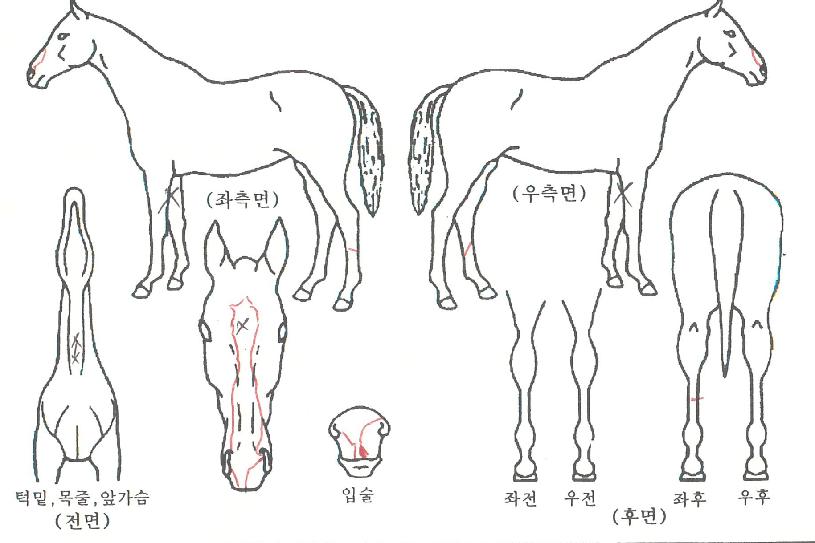 ��Ŀ���� ����,���,�޸�,�λ�,�ٸ��� Ư¡����