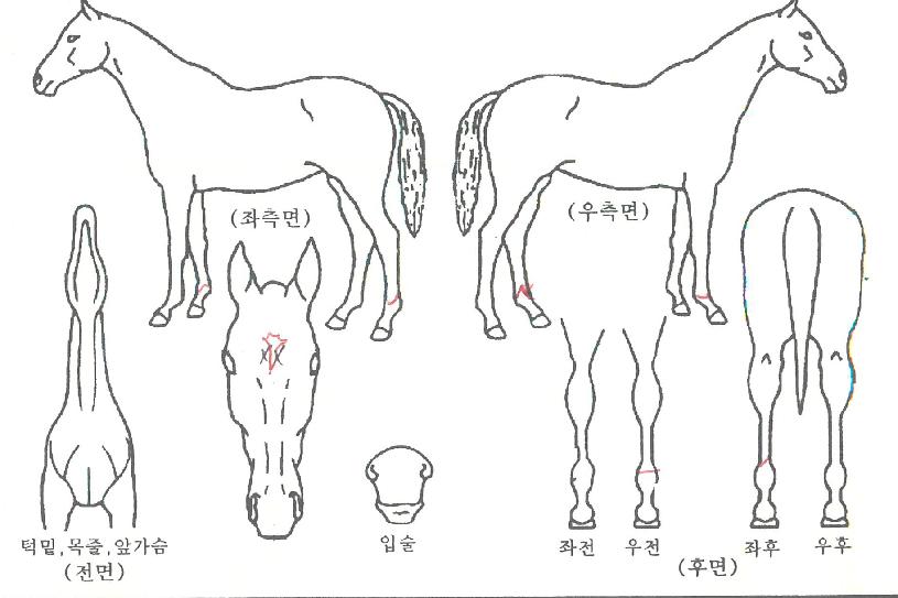 Ŭ������ ����,���,�޸�,�λ�,�ٸ��� Ư¡����