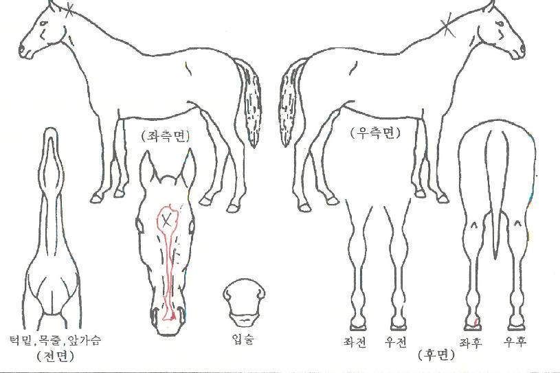 ��κ�ʽ��� ����,���,�޸�,�λ�,�ٸ��� Ư¡����