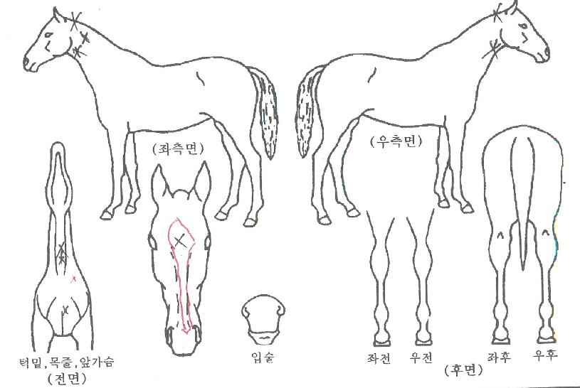 ���������� ����,���,�޸�,�λ�,�ٸ��� Ư¡����