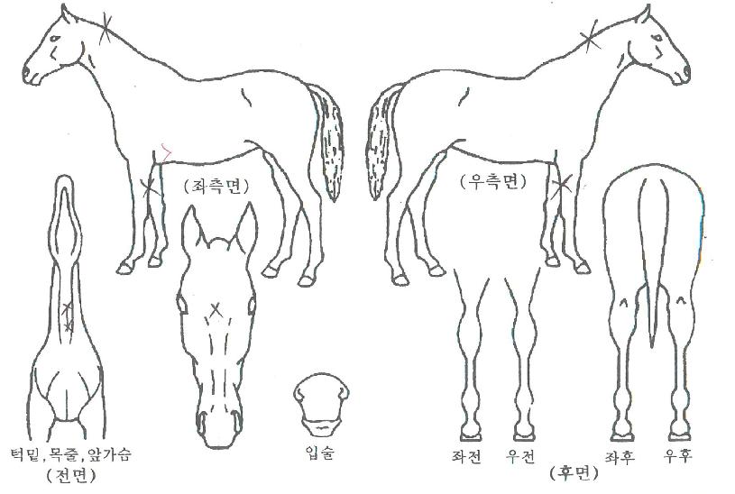 ��ŷ���� ����,���,�޸�,�λ�,�ٸ��� Ư¡����