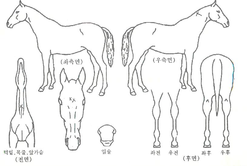 ���̽��Ͱ��� ����,���,�޸�,�λ�,�ٸ��� Ư¡����