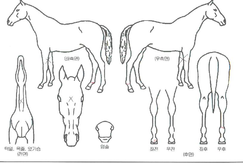 ¯������ ����,���,�޸�,�λ�,�ٸ��� Ư¡����