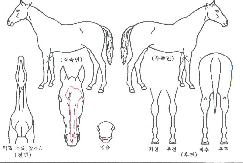 �����׾��̽��� ����,���,�޸�,�λ�,�ٸ��� Ư¡����