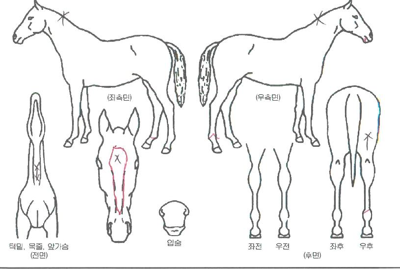 ��Ʈ������� ����,���,�޸�,�λ�,�ٸ��� Ư¡����