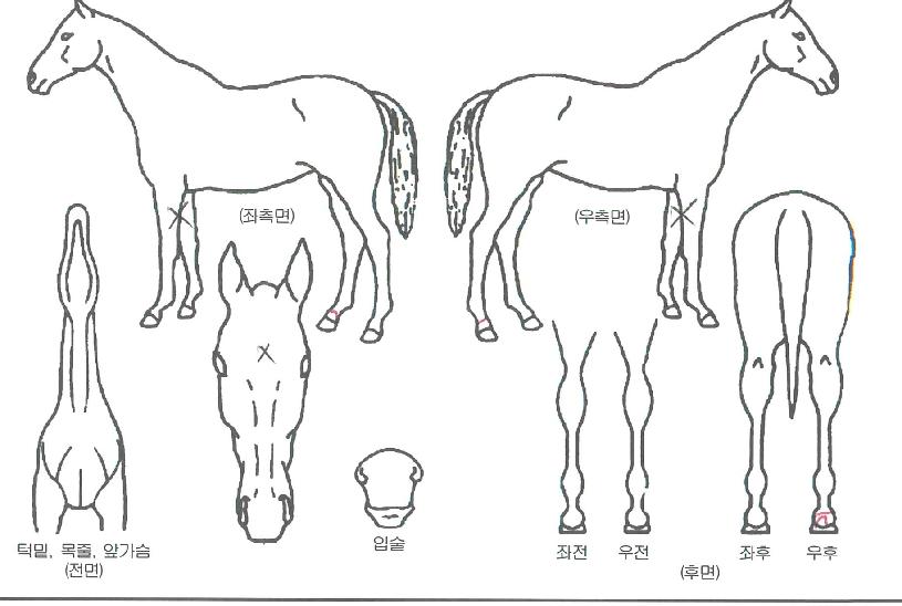 ºñ¹ÙÅÙÀÇ Ãø¸é,¿ì¸é,µÞ¸é,µÎ»ó,´Ù¸®ÀÇ Æ¯Â¡µµÇØ
