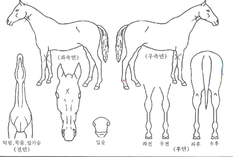 �������� ����,���,�޸�,�λ�,�ٸ��� Ư¡����