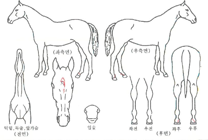 �������� ����,���,�޸�,�λ�,�ٸ��� Ư¡����