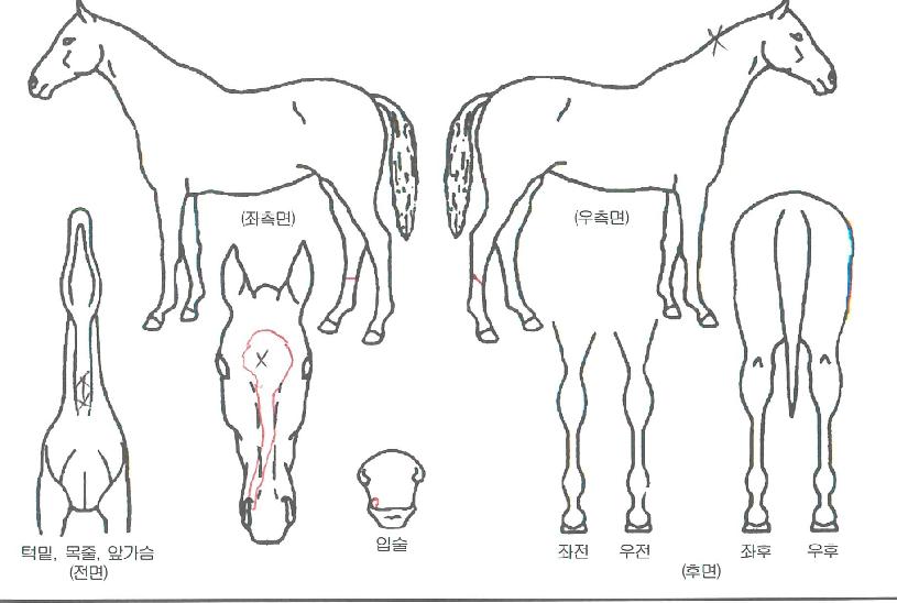 ��������� ����,���,�޸�,�λ�,�ٸ��� Ư¡����