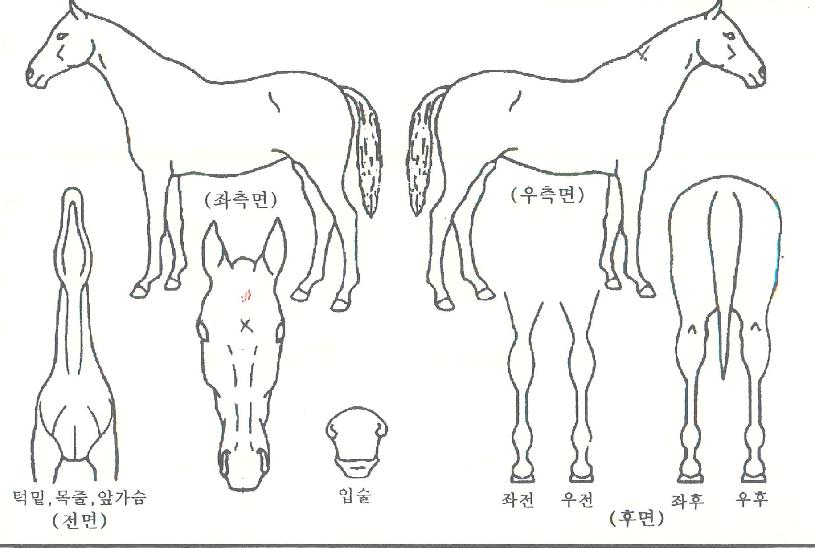 ���������� ����,���,�޸�,�λ�,�ٸ��� Ư¡����