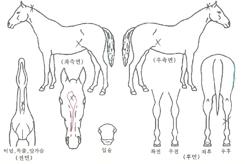 ȯ���� ����,���,�޸�,�λ�,�ٸ��� Ư¡����