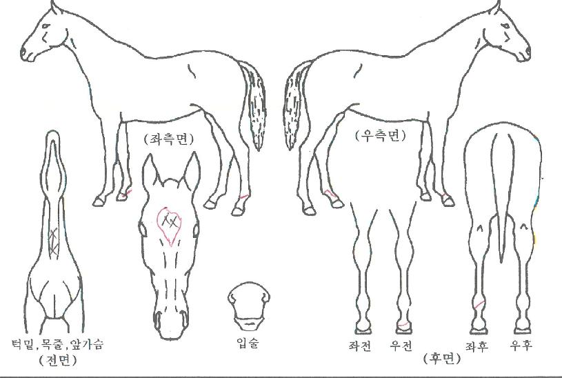 �������� ����,���,�޸�,�λ�,�ٸ��� Ư¡����