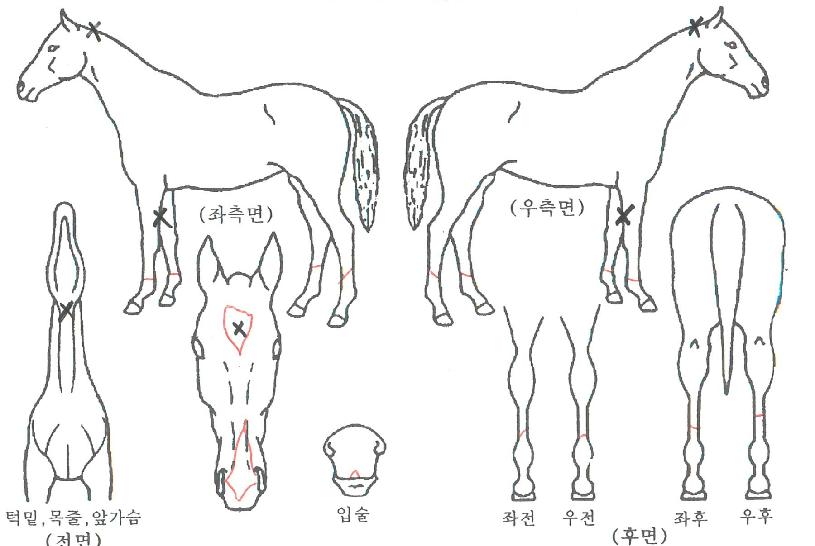 �����ġĿ�� ����,���,�޸�,�λ�,�ٸ��� Ư¡����