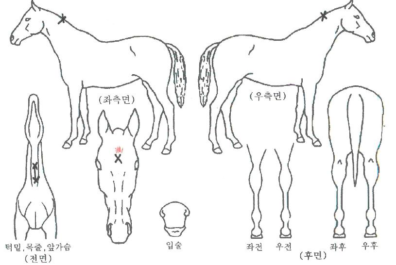 ���̽������� ����,���,�޸�,�λ�,�ٸ��� Ư¡����