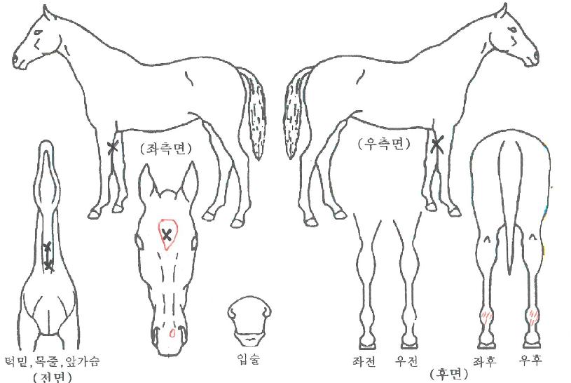 �����̺������� ����,���,�޸�,�λ�,�ٸ��� Ư¡����