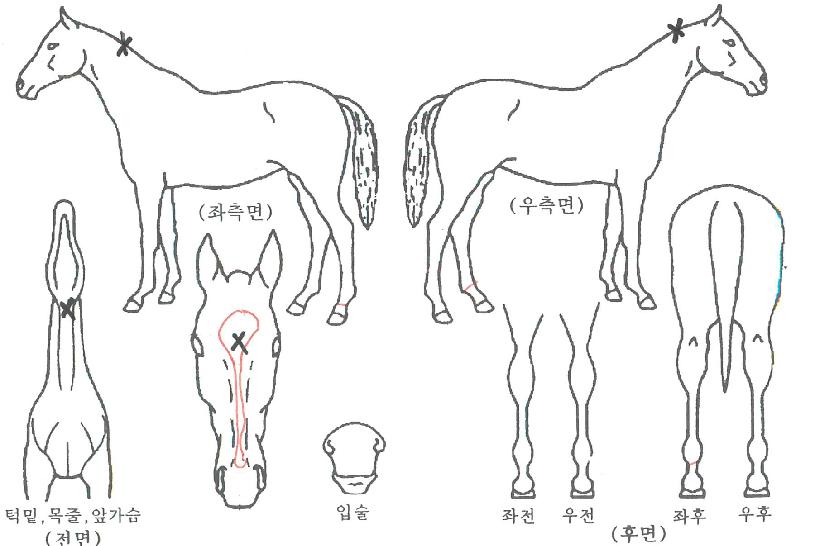 ���Ǽ��� ����,���,�޸�,�λ�,�ٸ��� Ư¡����