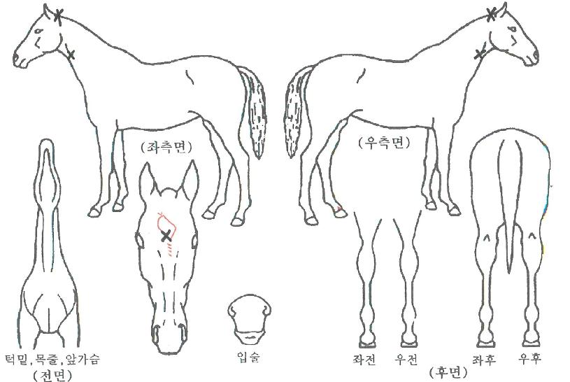 ������Ʈ���� ����,���,�޸�,�λ�,�ٸ��� Ư¡����