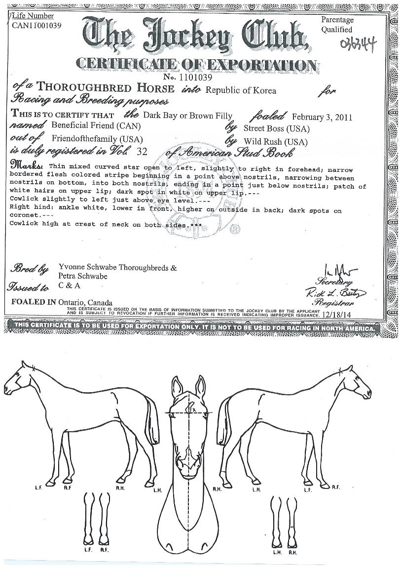 º£³×ÇǼÈÇÁ·»µåÀÇ Ãø¸é,¿ì¸é,µÞ¸é,µÎ»ó,´Ù¸®ÀÇ Æ¯Â¡µµÇØ