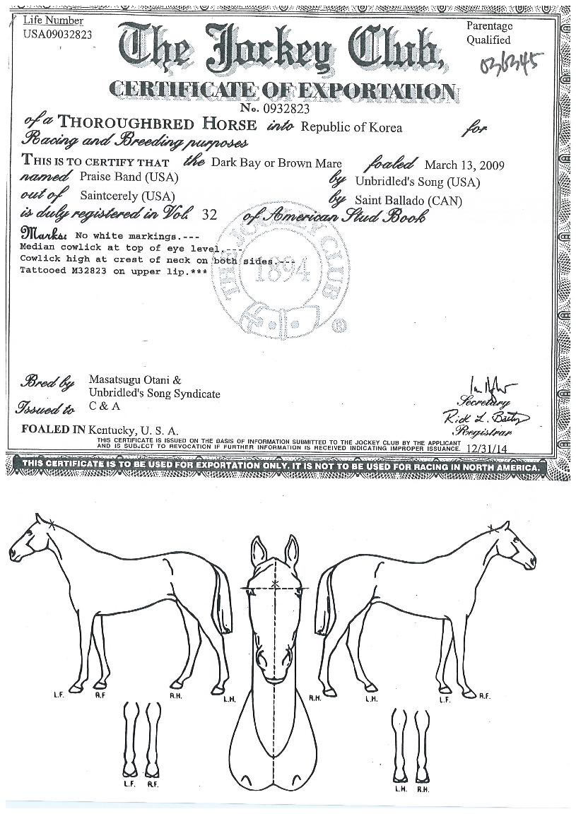 ÇÁ·¹ÀÌÁî¹êµåÀÇ Ãø¸é,¿ì¸é,µÞ¸é,µÎ»ó,´Ù¸®ÀÇ Æ¯Â¡µµÇØ