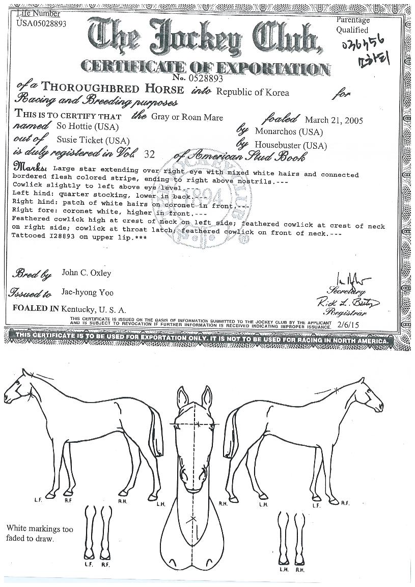 ¼ÒÇÏÆ¼ÀÇ Ãø¸é,¿ì¸é,µÞ¸é,µÎ»ó,´Ù¸®ÀÇ Æ¯Â¡µµÇØ