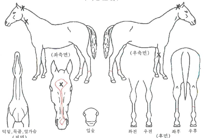 ���ݶ����� ����,���,�޸�,�λ�,�ٸ��� Ư¡����