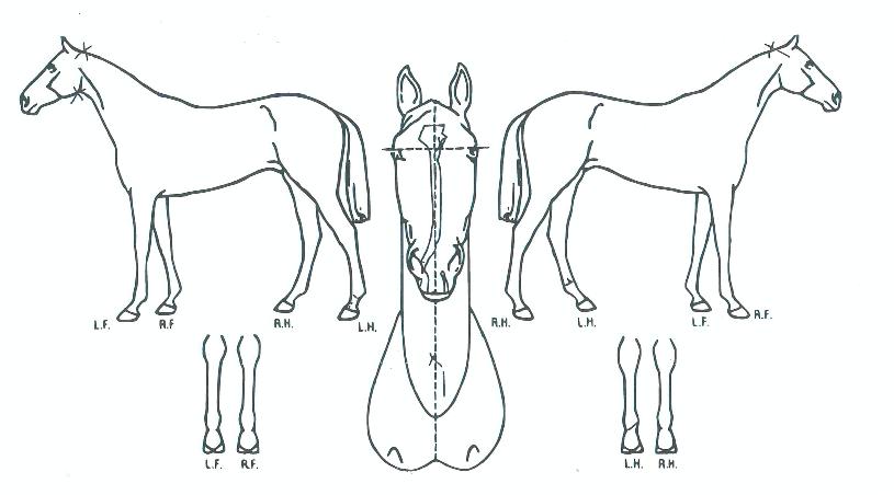 ��Ȱ�ǹݼ��� ����,���,�޸�,�λ�,�ٸ��� Ư¡����