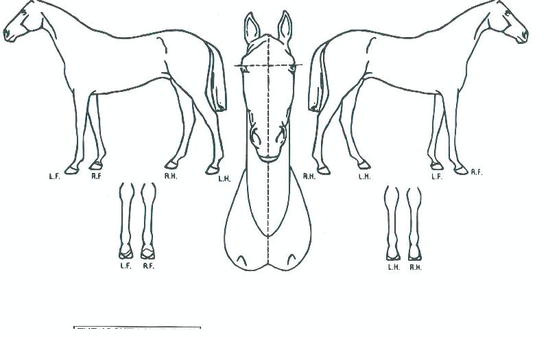 �������� ����,���,�޸�,�λ�,�ٸ��� Ư¡����