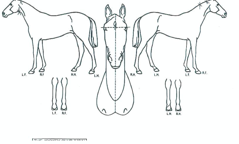 Àå»êõÇÏÀÇ Ãø¸é,¿ì¸é,µÞ¸é,µÎ»ó,´Ù¸®ÀÇ Æ¯Â¡µµÇØ