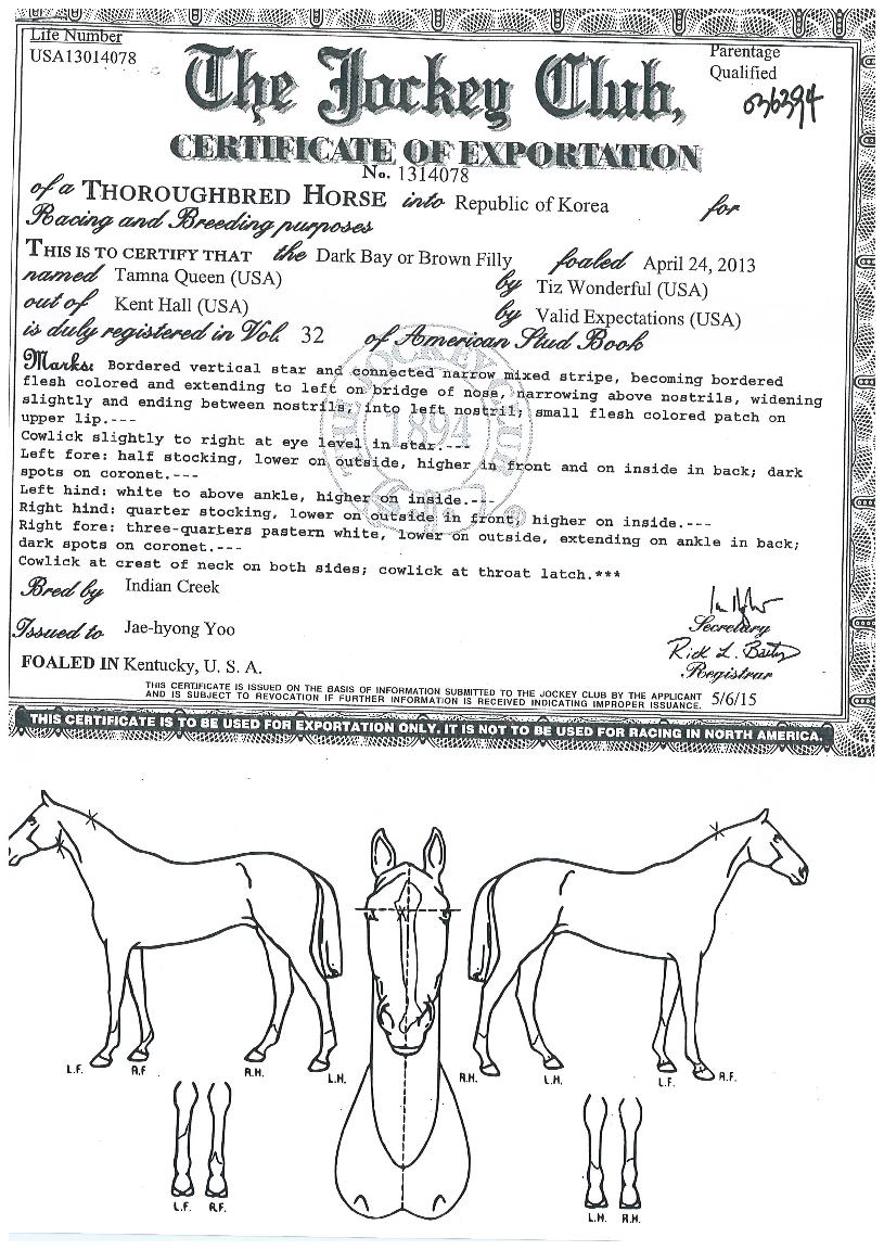 Ž������ ����,���,�޸�,�λ�,�ٸ��� Ư¡����