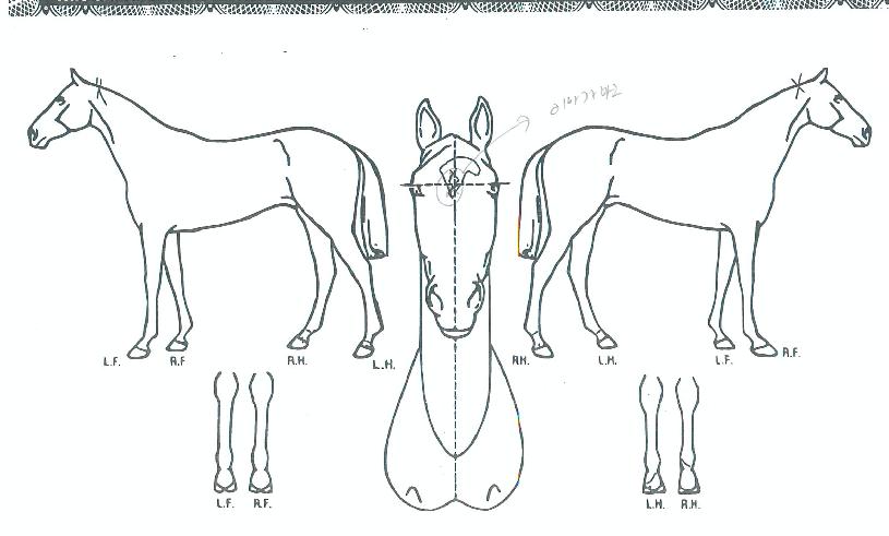 �������� ����,���,�޸�,�λ�,�ٸ��� Ư¡����