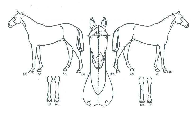 ũ���̺����� ����,���,�޸�,�λ�,�ٸ��� Ư¡����