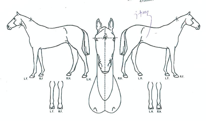 ����Ŀ�� ����,���,�޸�,�λ�,�ٸ��� Ư¡����