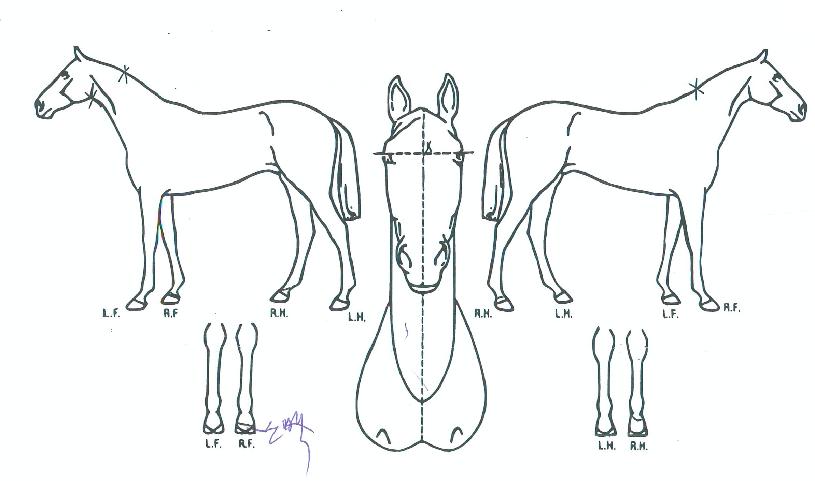 �̼ҿ����� ����,���,�޸�,�λ�,�ٸ��� Ư¡����