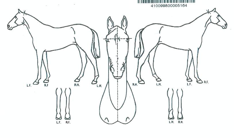 ���̿����� ����,���,�޸�,�λ�,�ٸ��� Ư¡����