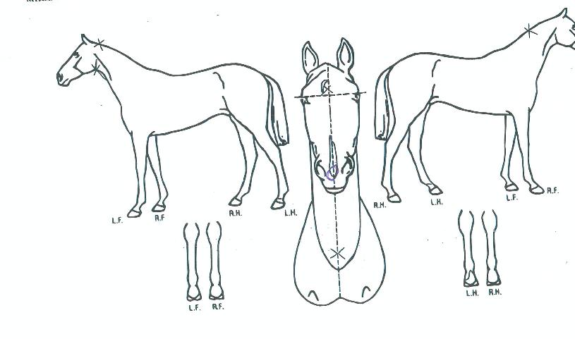 ����ĥ���� ����,���,�޸�,�λ�,�ٸ��� Ư¡����