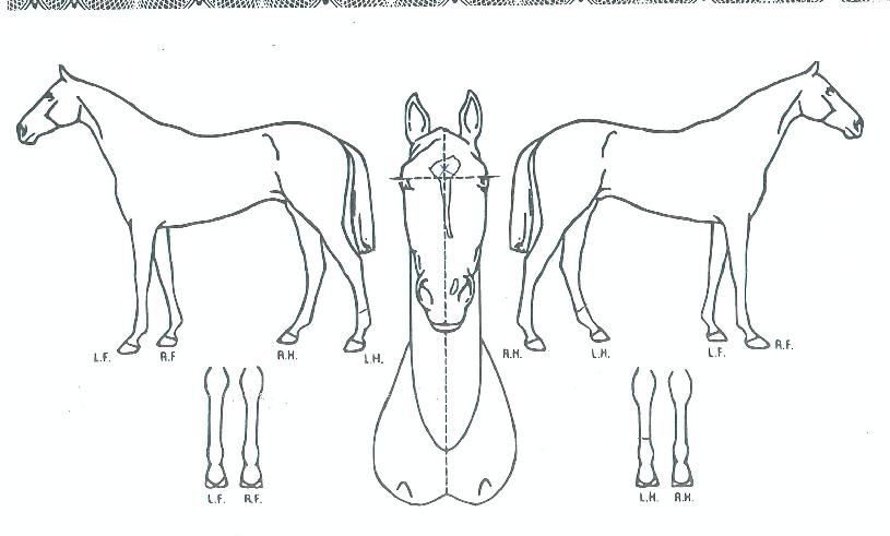 ÇÁ·Î¸¶Å׿콺ÀÇ Ãø¸é,¿ì¸é,µÞ¸é,µÎ»ó,´Ù¸®ÀÇ Æ¯Â¡µµÇØ
