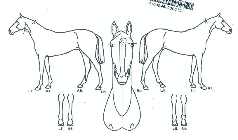 ºñÆ®¼Ò´ÐÀÇ Ãø¸é,¿ì¸é,µÞ¸é,µÎ»ó,´Ù¸®ÀÇ Æ¯Â¡µµÇØ