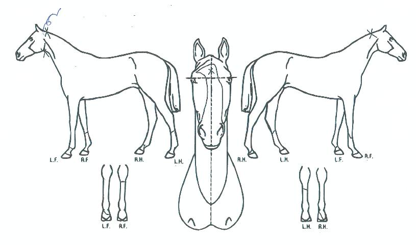 �ڷ���Ʈ�� ����,���,�޸�,�λ�,�ٸ��� Ư¡����