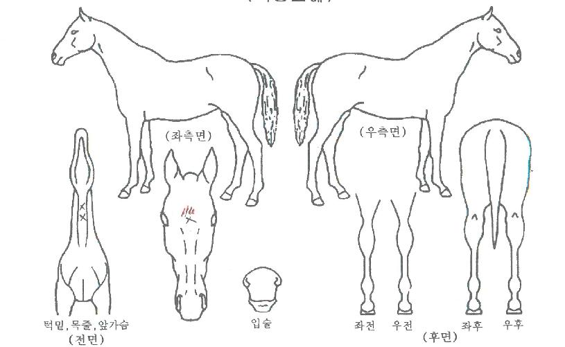 Ŭ�����Ŀ��� ����,���,�޸�,�λ�,�ٸ��� Ư¡����