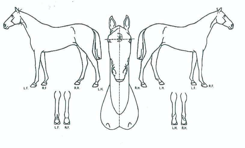 �Ͽ��̺����� ����,���,�޸�,�λ�,�ٸ��� Ư¡����