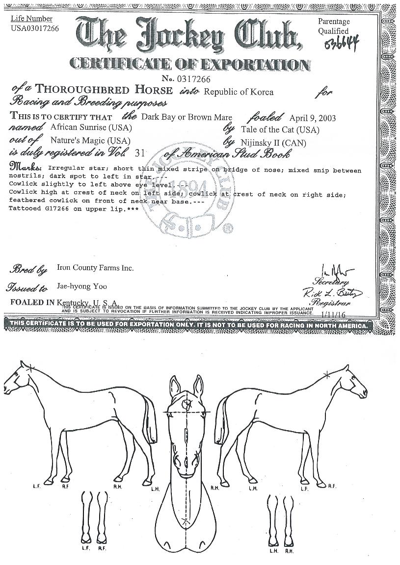 ������ĭ���������� ����,���,�޸�,�λ�,�ٸ��� Ư¡����