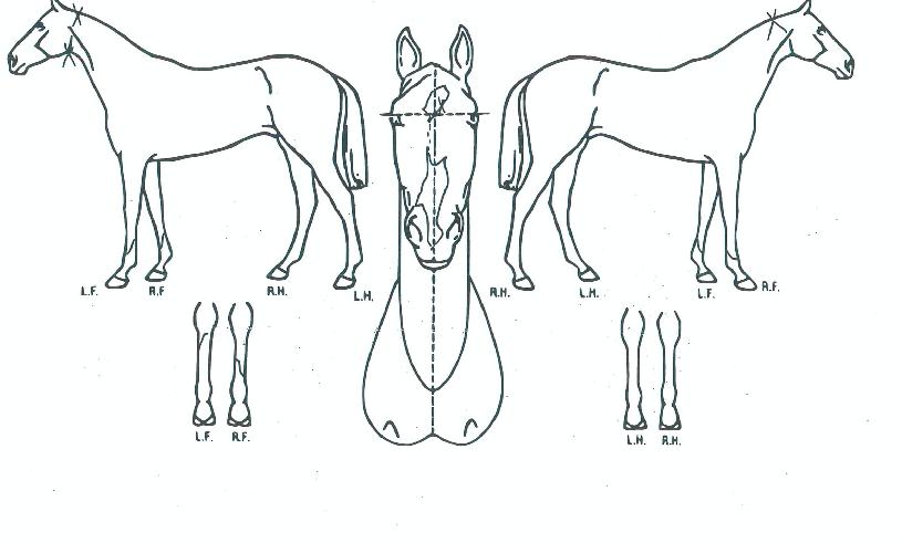 ���������� ����,���,�޸�,�λ�,�ٸ��� Ư¡����